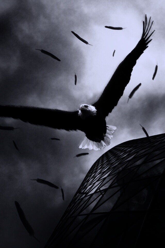 Орлиный полет обои