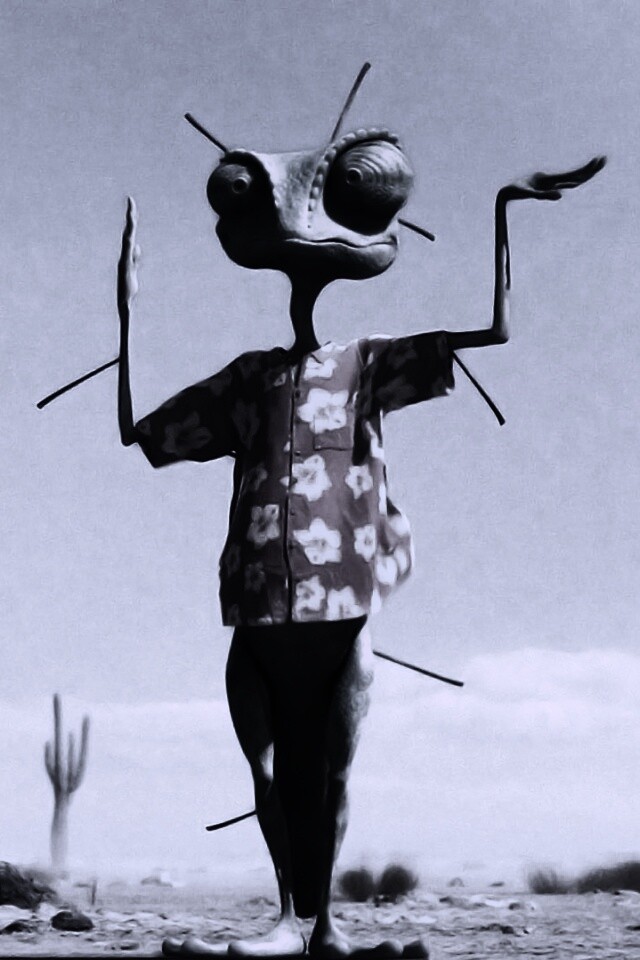 Ранго и кактус обои