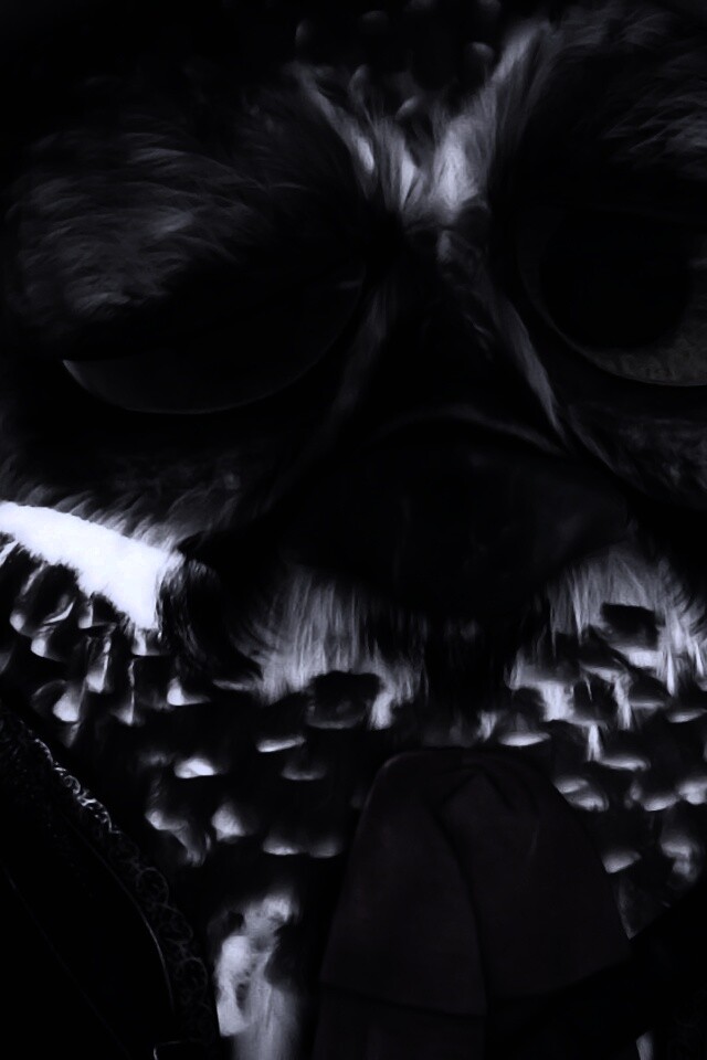 Совы-мариачи из Ранго обои