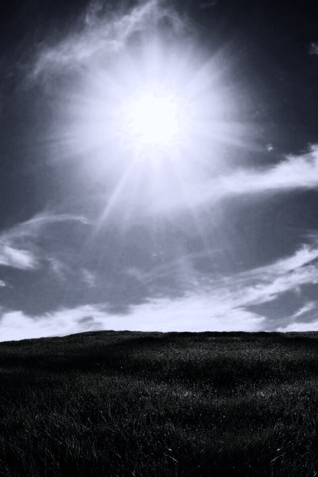 Солнце над холмом обои