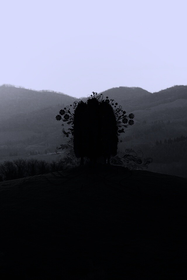 Деревья на холме обои