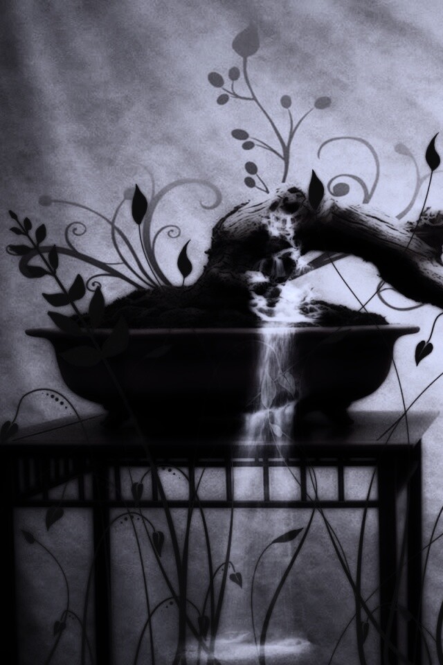 Карликовое дерево обои