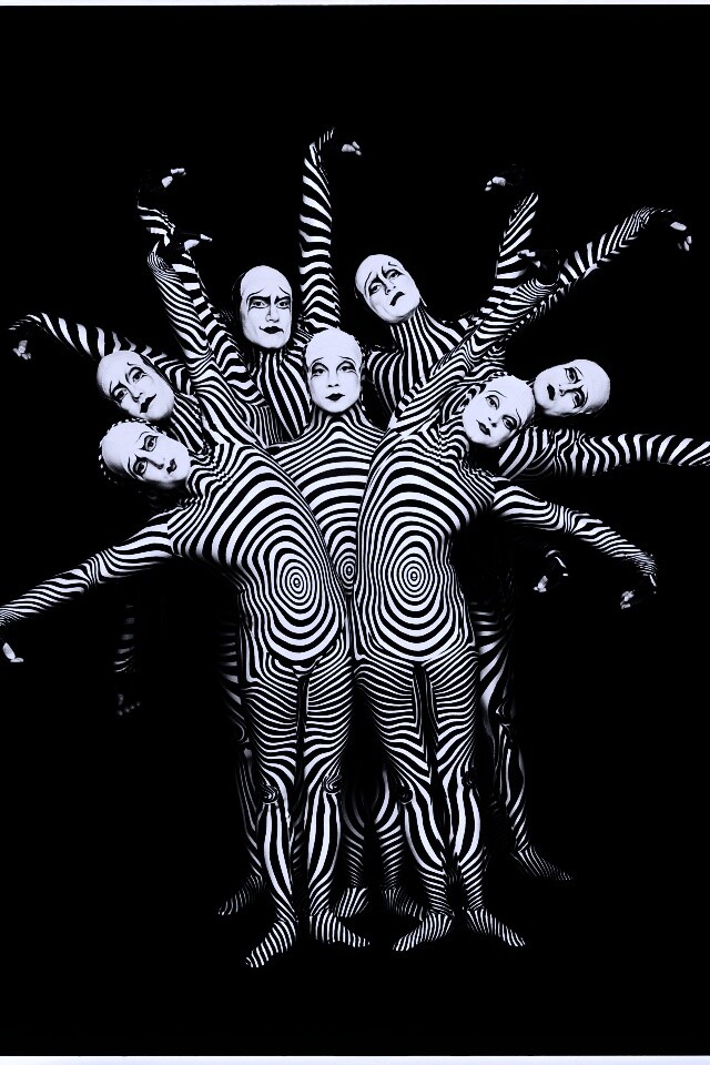 Зеброиды (актеры цирка дю солей) обои