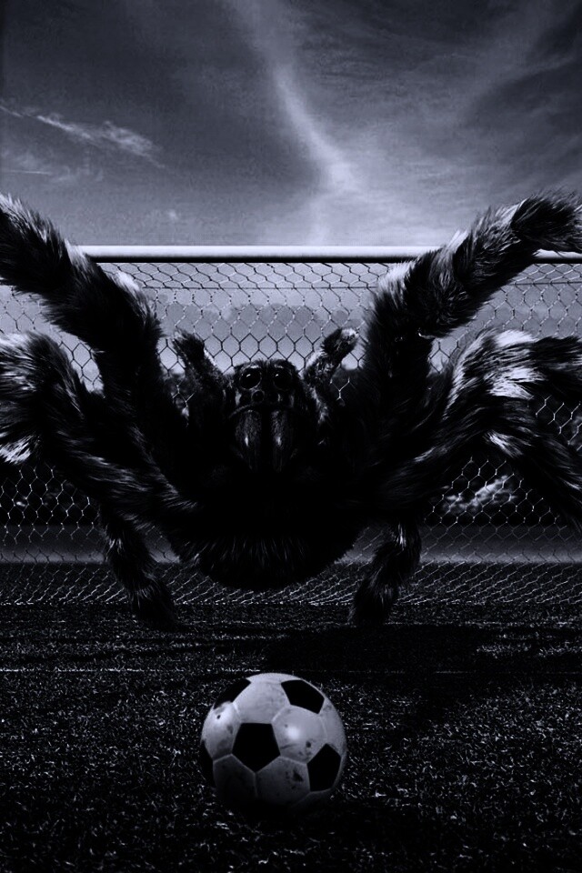 Вратарь обои