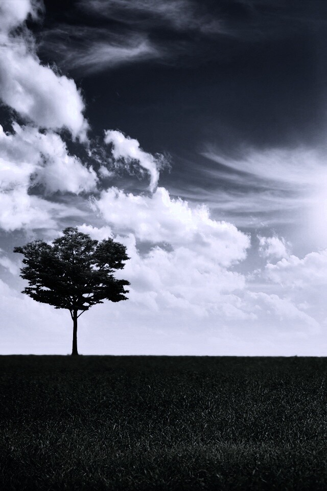 Один в целом мире обои