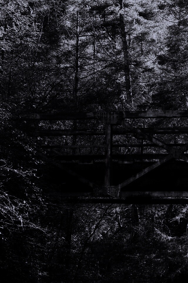 Металлический мост в лесной глуши обои