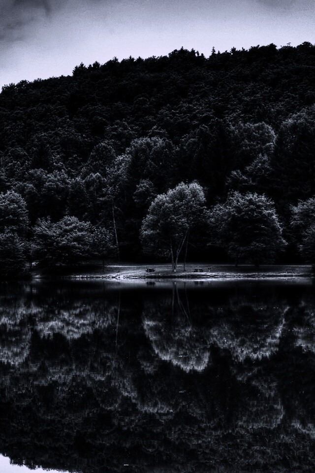 Лесной берег обои