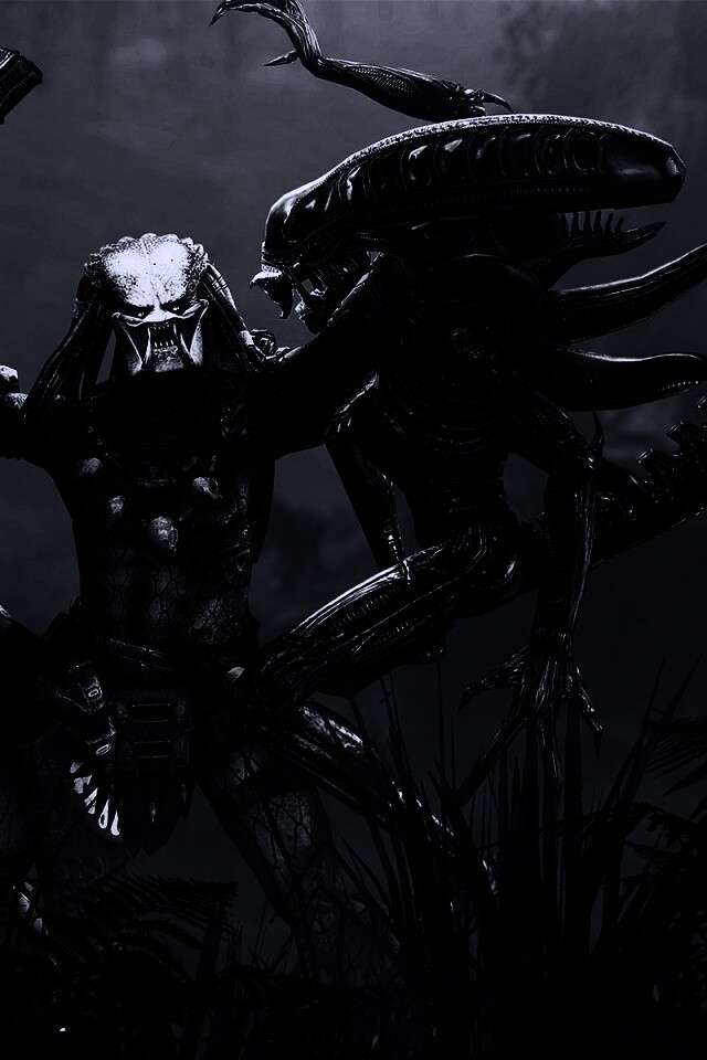 Чужой против Хищника обои