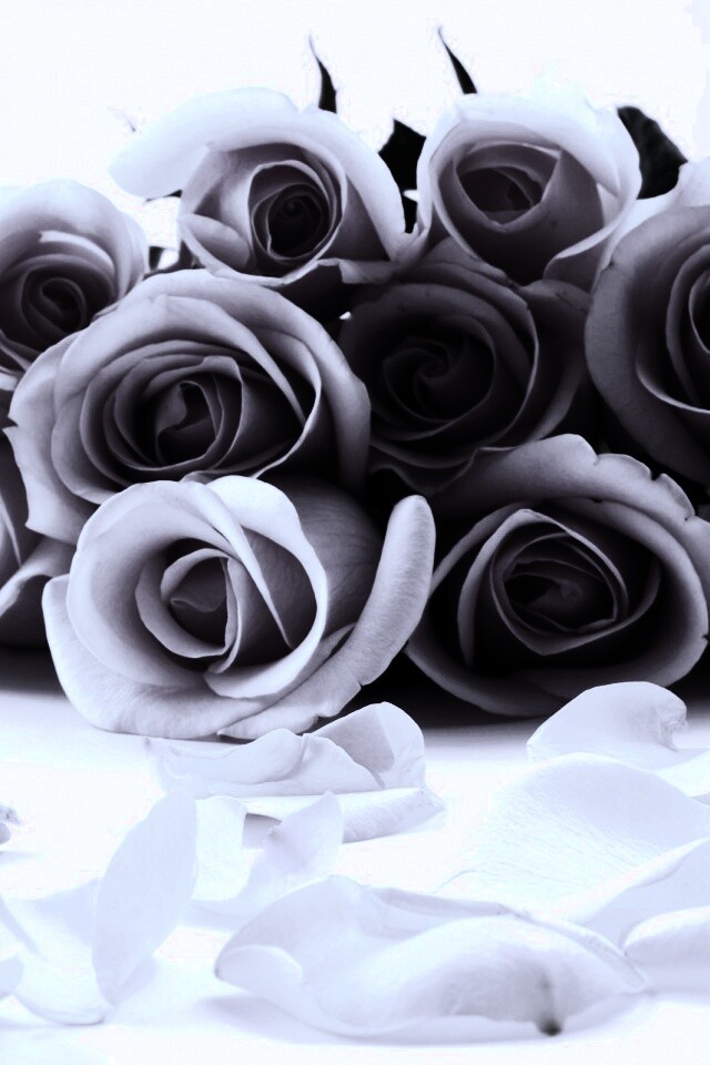 Букет роз обои