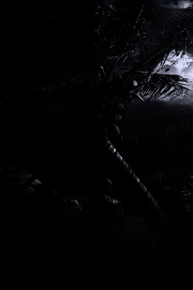 Вид на джунгли обои