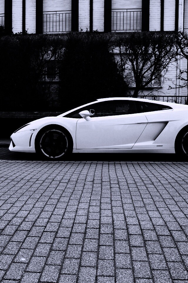 Белый Lamborghini обои