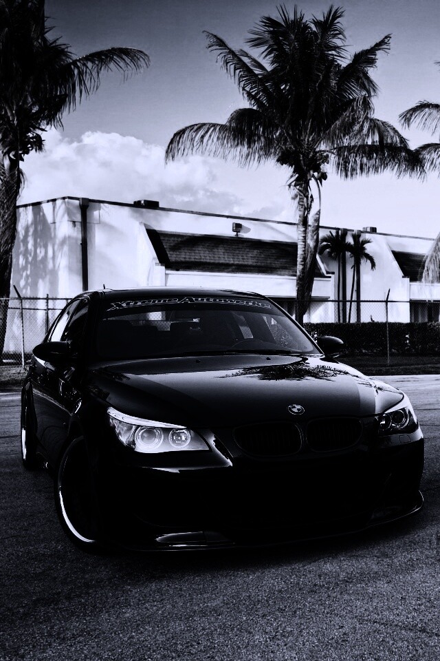 Две БМВ обои