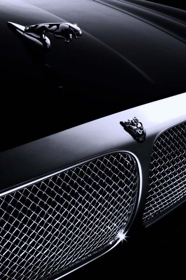 Капот и эмблема Ягуара обои