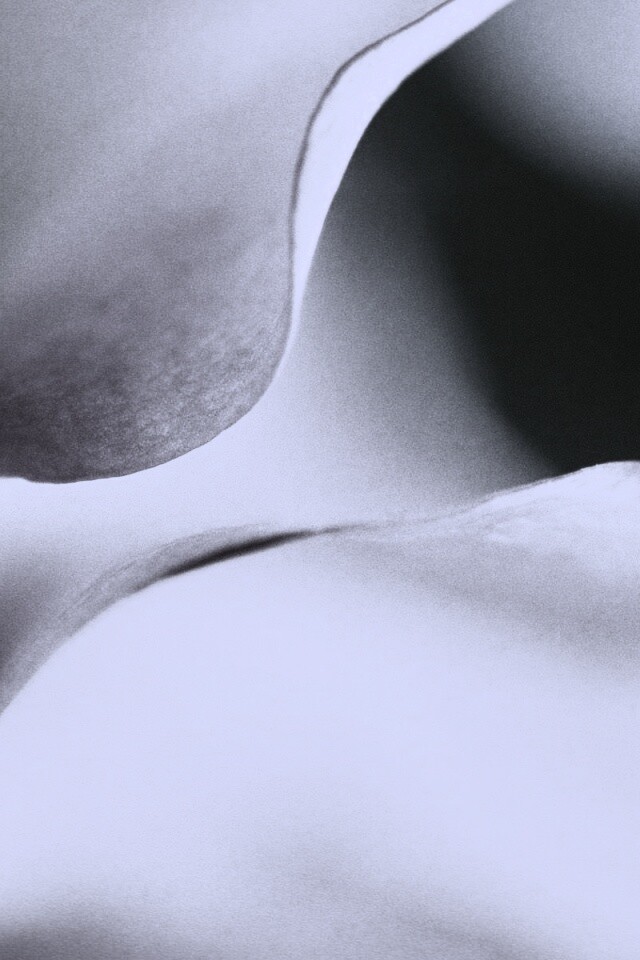 Оттенки природы обои