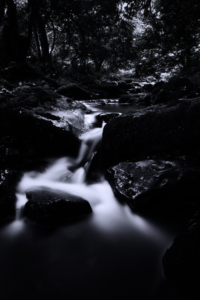 Речной поток в лесу обои