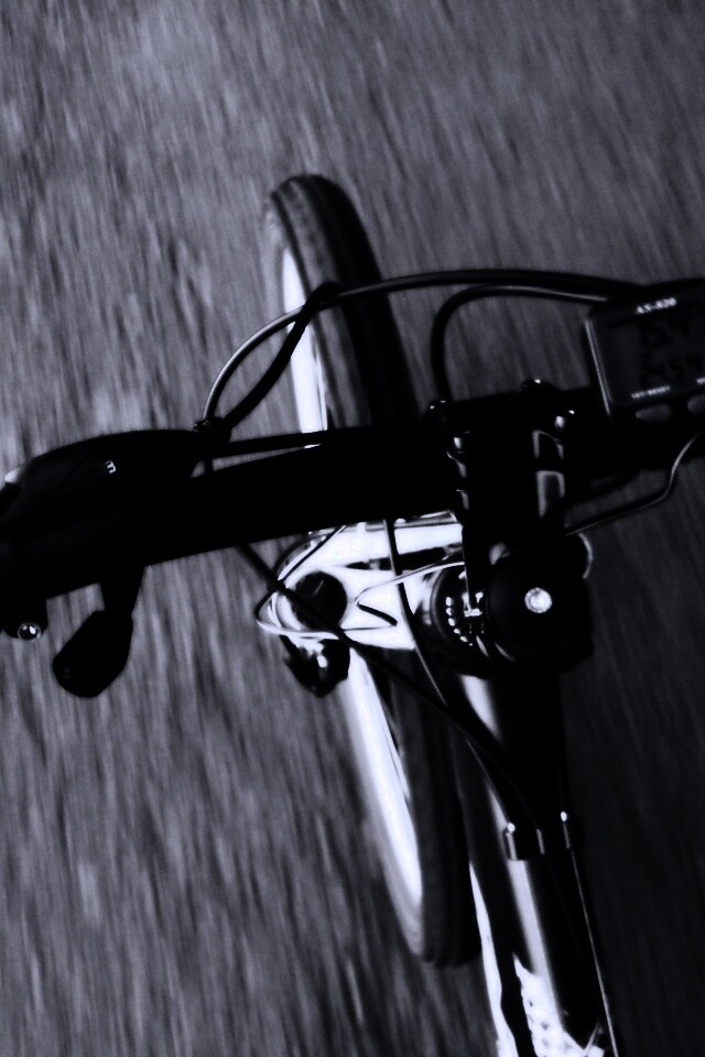 Катание на велосипеде обои