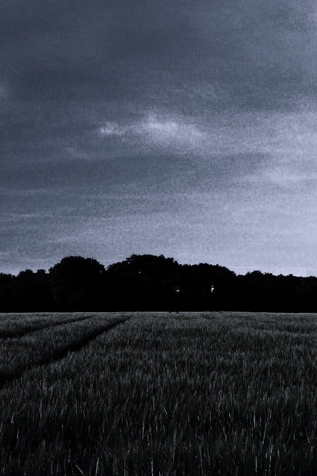 Следы колеи в поле обои