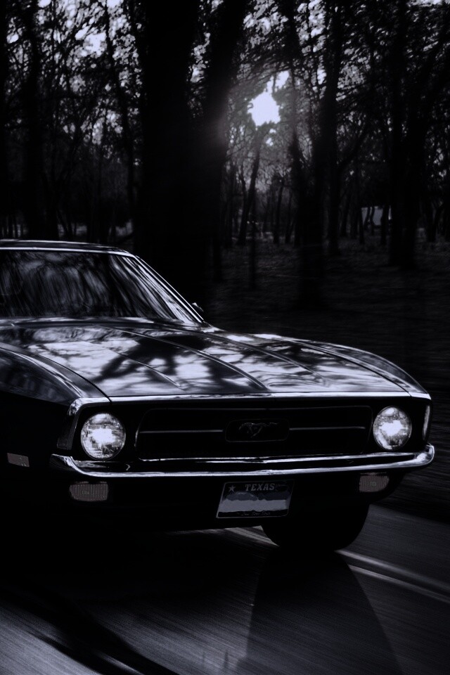 Мустанг обои