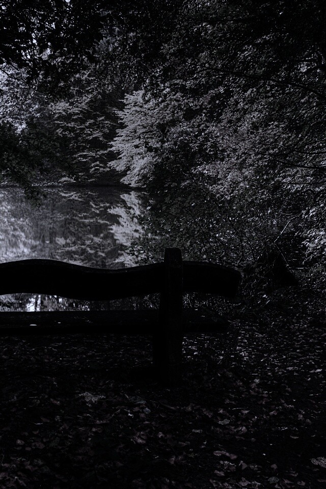 Скамейка в лесу обои