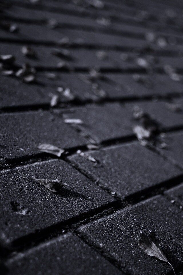 Тротуар обои