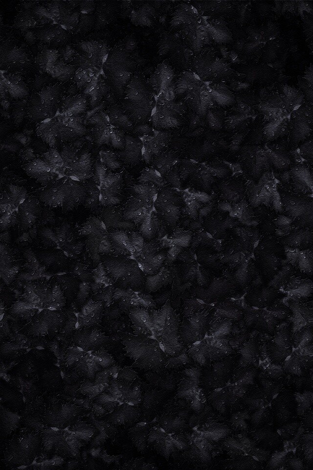 Осенние листья обои