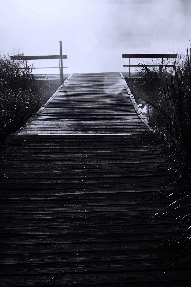 Выход к реке обои