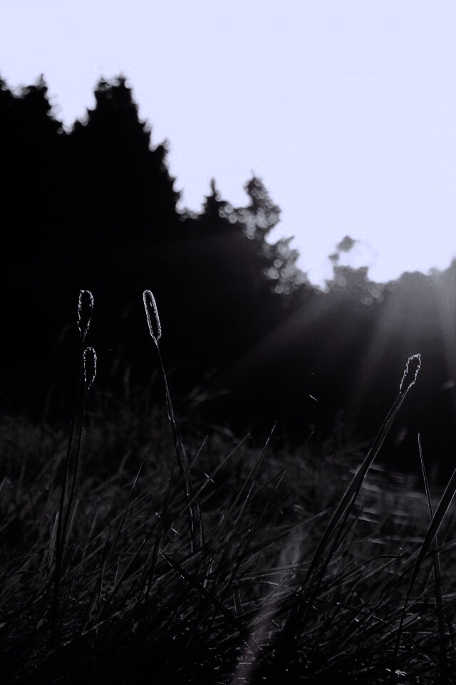 Красота природы обои