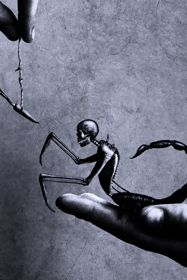 Кормёжка смерти обои