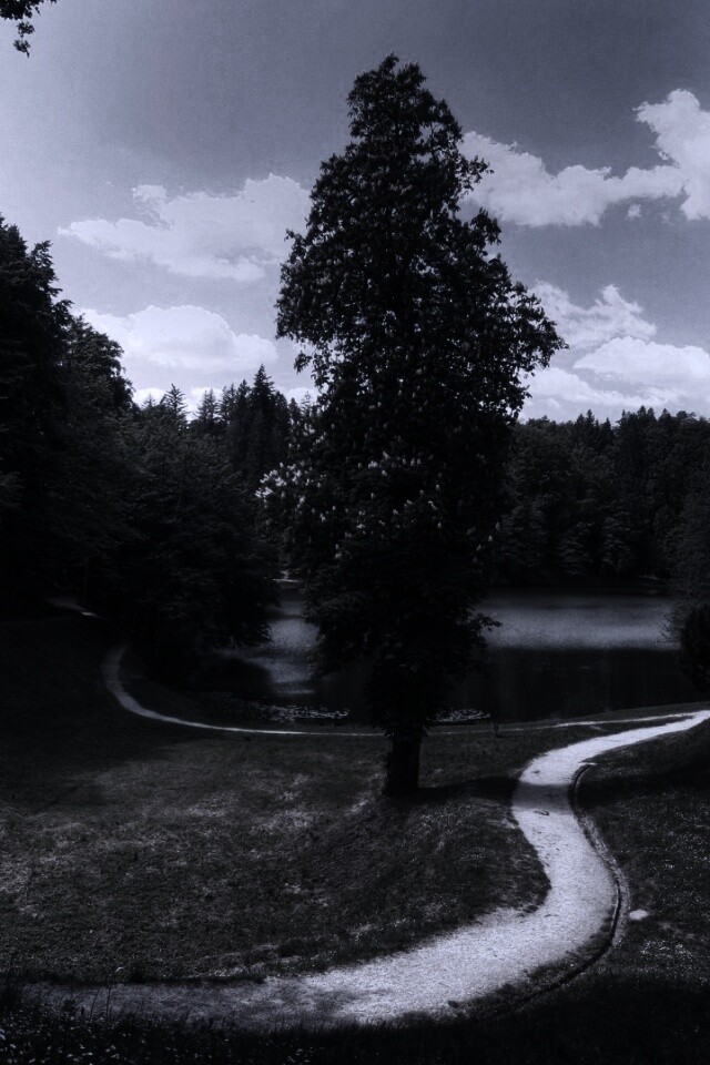 Прекрасная природа обои