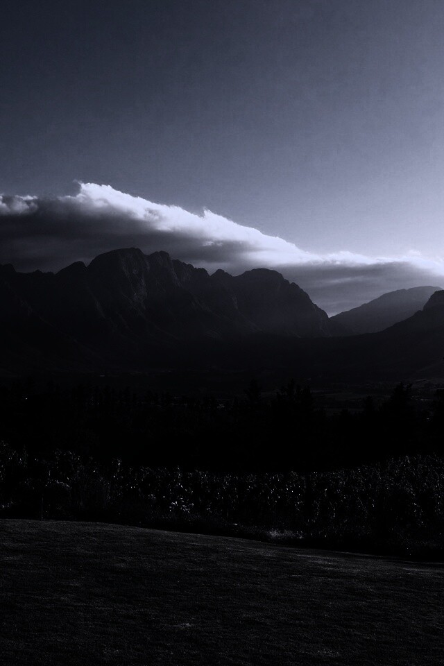 Виноградники в Африке обои