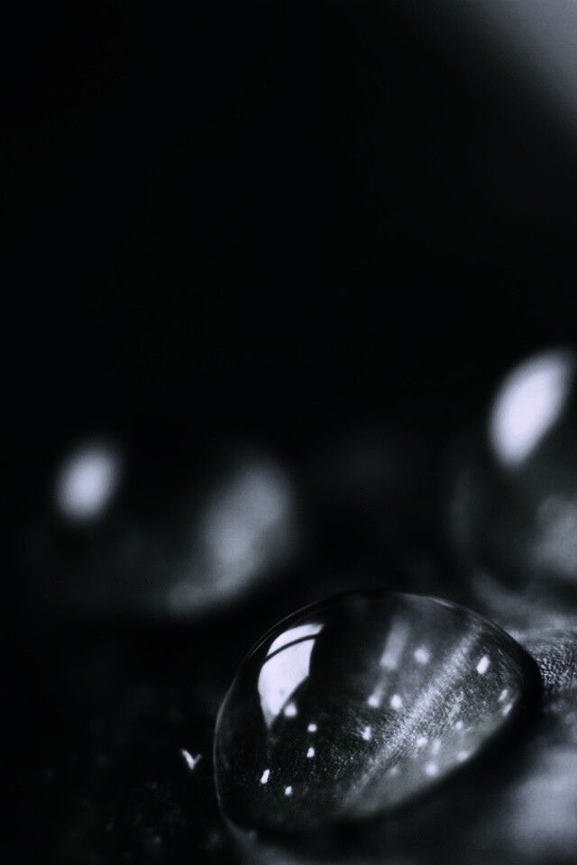 Зеленые капли росы обои