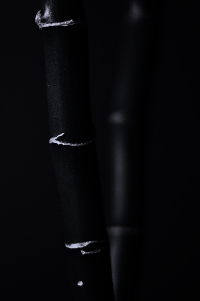 Макро фото стебля бамбука обои