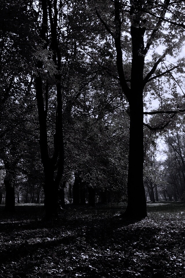 Осенний листопад в парке обои