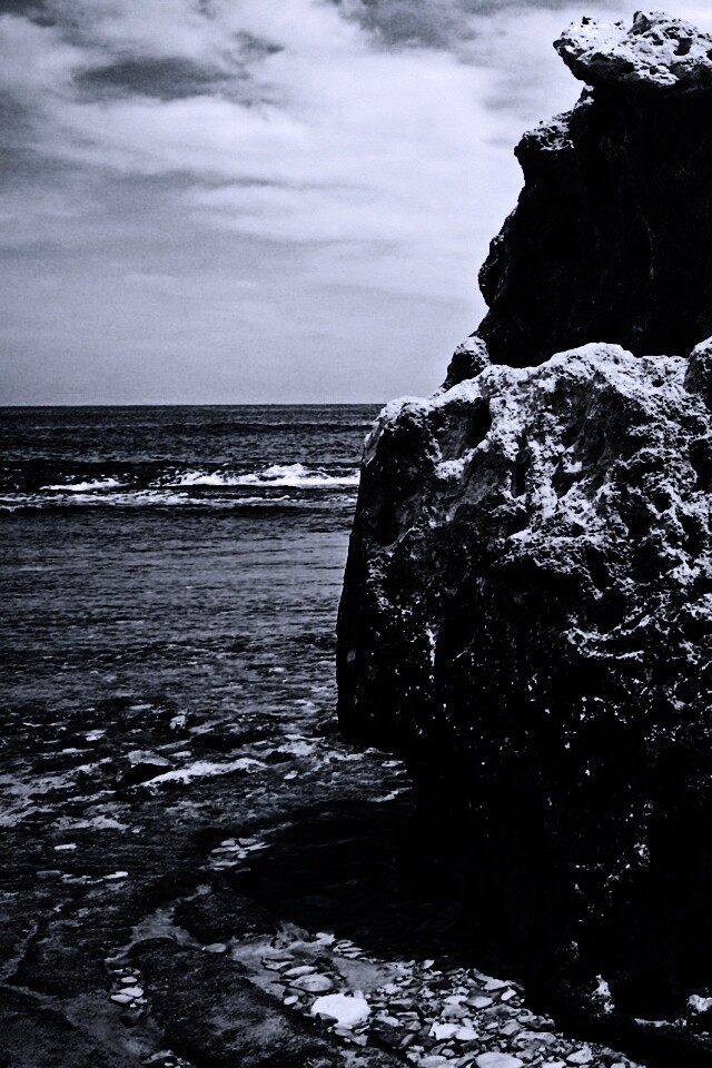 Коралловый риф обои