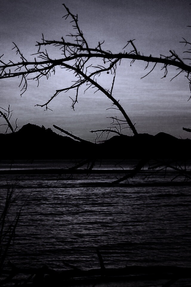 Тропический закат обои