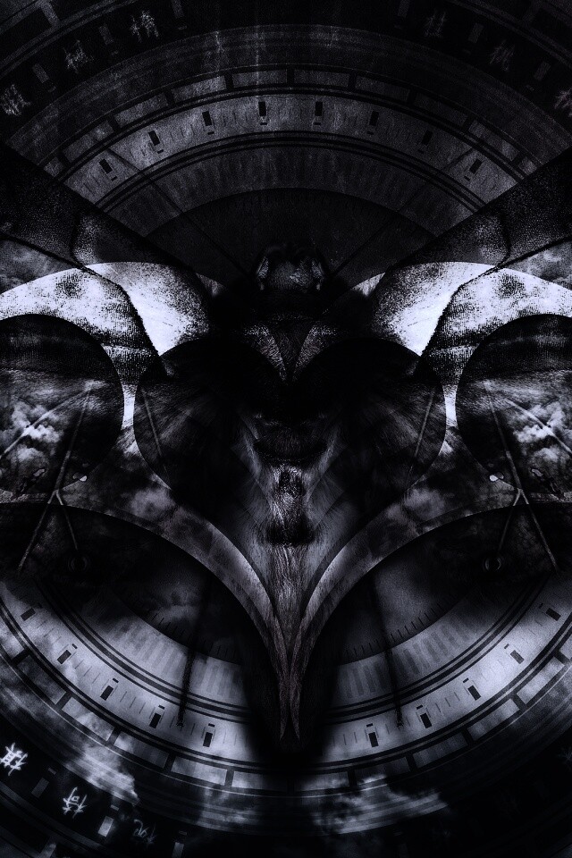 Красивая фэнтезийная бабочка обои