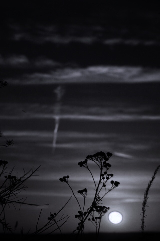 Степной закат обои