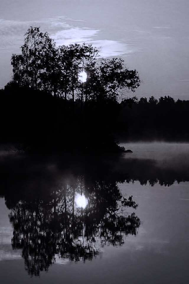 Туманное утро обои