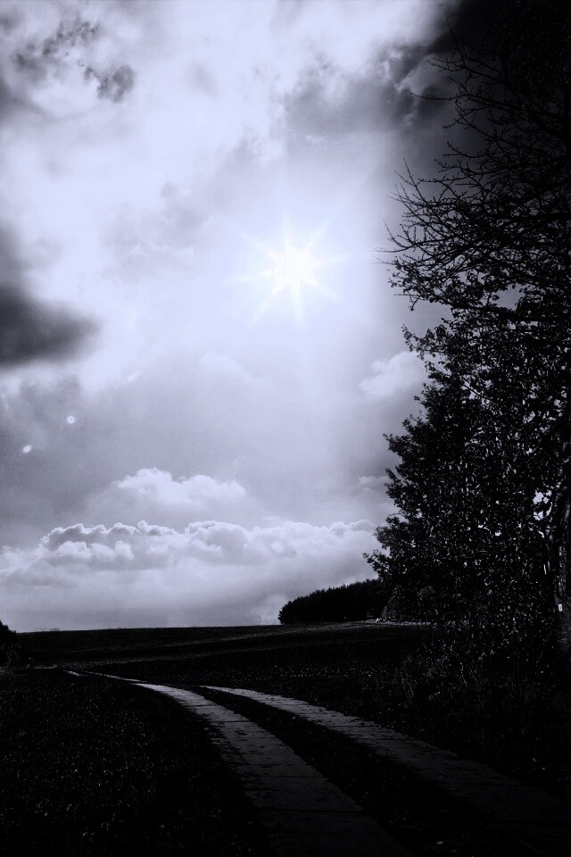 Солнечные холмы обои