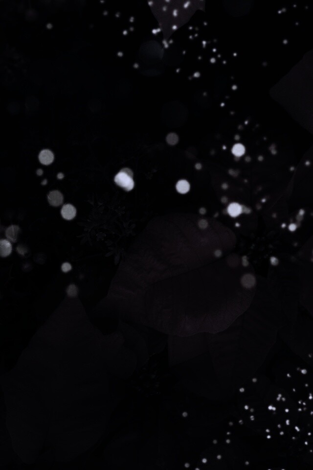 Бархатные лепестки обои