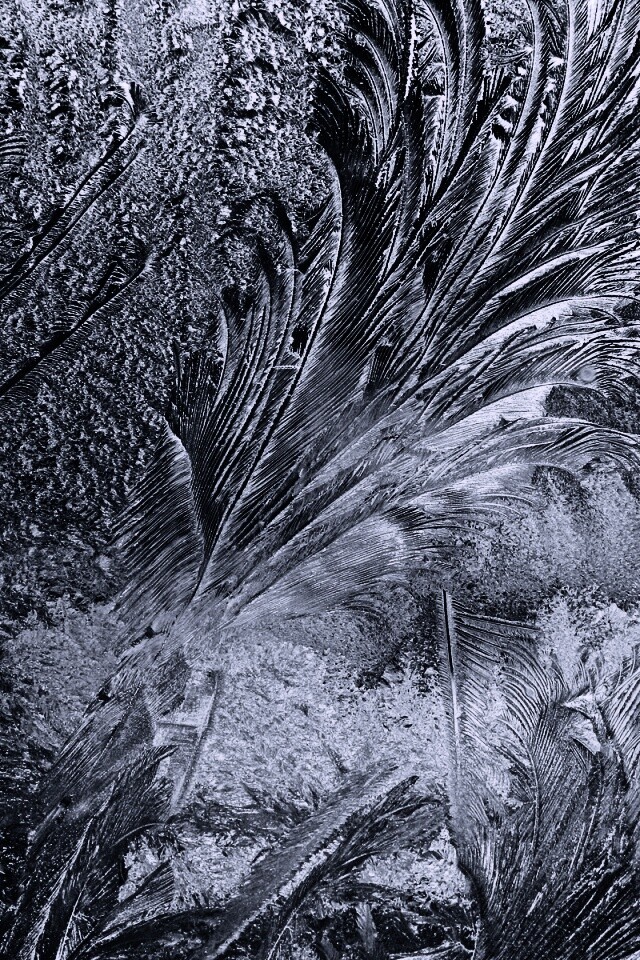 Зимние узоры обои