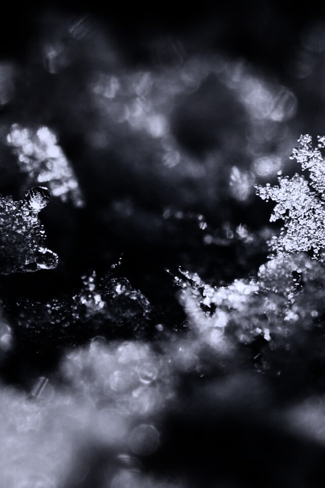 Макро фото снега обои