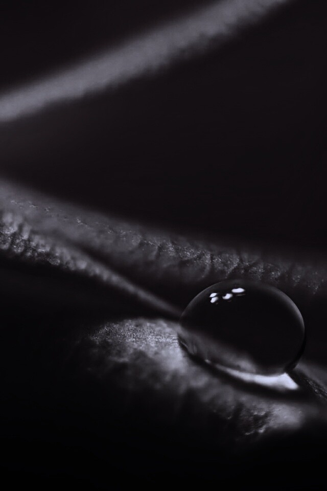 Капелька обои