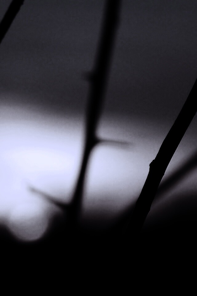 Закат солнца в поле обои