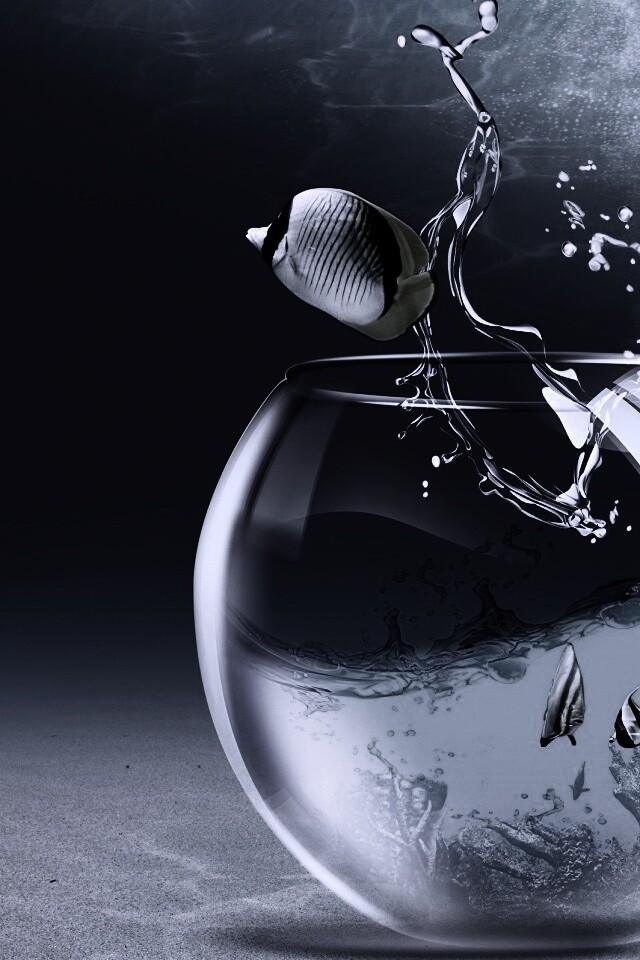 Аквариум с рыбками обои