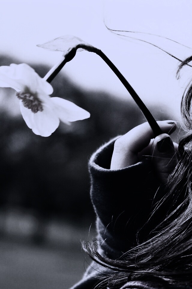 Девушка с нарциссом в руке обои