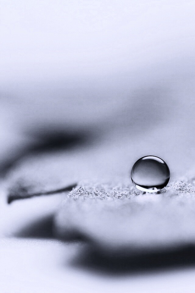 Капля на замёрзжем листе обои