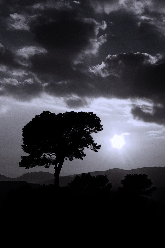 Закат над холмами обои