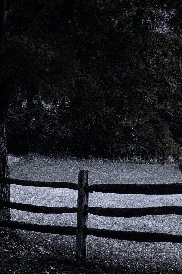 Ранняя осень обои