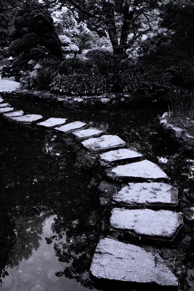 Дорожка через пруд обои